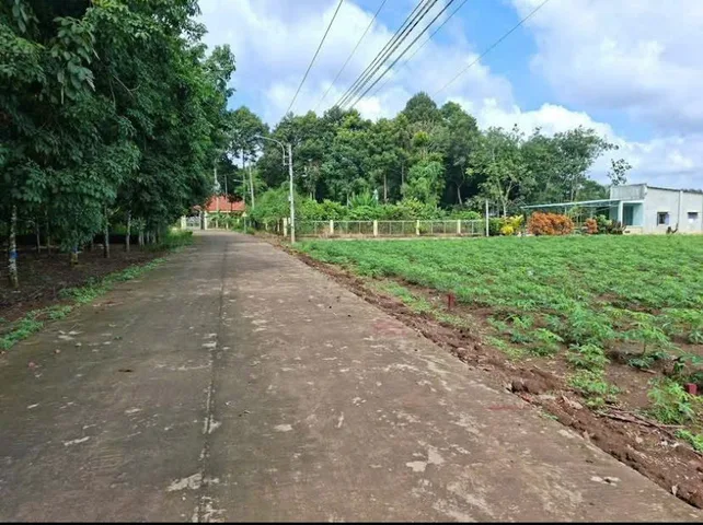 Bất động sản tại Bình Dương - ảnh 1