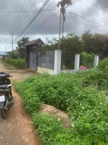 Bất động sản tại Đắk Lắk - ảnh 1
