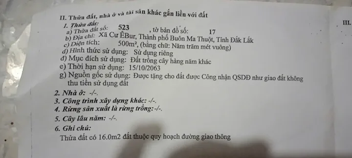 Bất động sản tại Đắk Lắk - ảnh 1