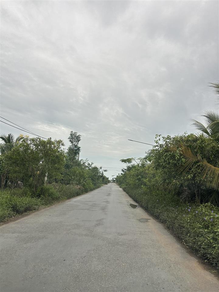 Bất động sản tại Tiền Giang - ảnh 1