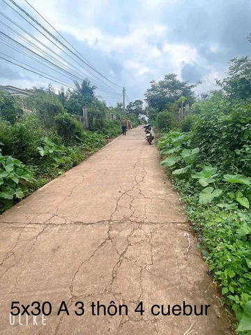 Bất động sản tại Đắk Lắk - ảnh 1