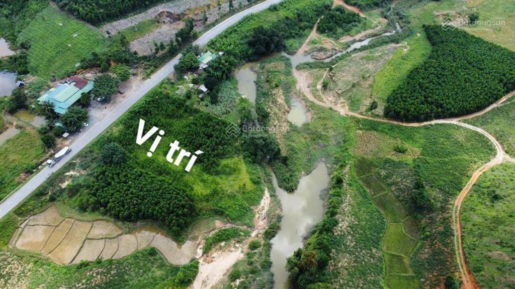 Bất động sản tại Đắk Lắk - ảnh 1