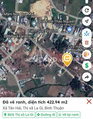 Bất động sản tại Lâm Đồng - ảnh 1