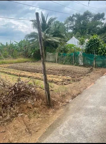 Bất động sản tại Vĩnh Long - ảnh 1