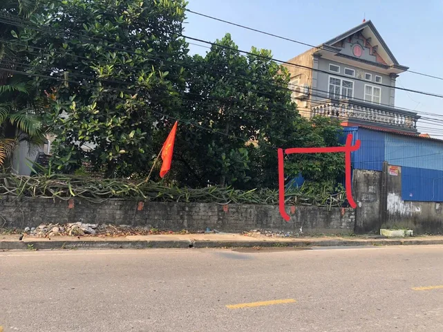 Bất động sản tại Hải Phòng - ảnh 1