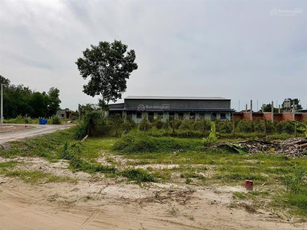 Bất động sản tại Tây Ninh - ảnh 1