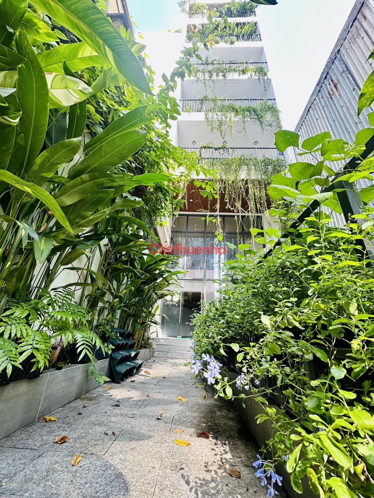 Bất động sản tại TP. Hồ Chí Minh - ảnh 1
