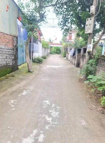 Bất động sản tại Hải Phòng - ảnh 1