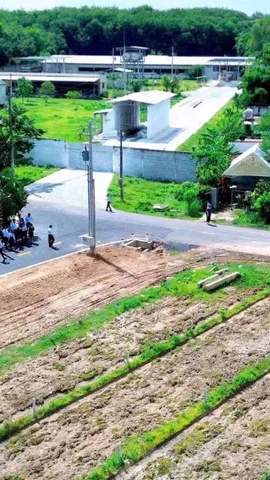Bất động sản tại TP. Hồ Chí Minh - ảnh 2