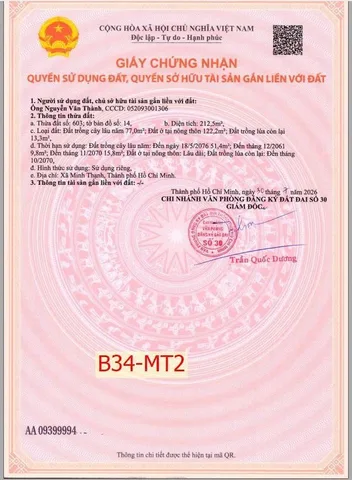 Bất động sản tại TP. Hồ Chí Minh - ảnh 4