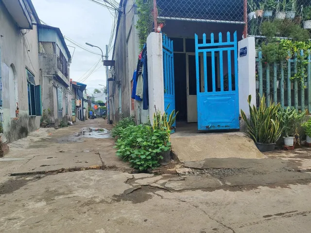 Bất động sản tại Đà Nẵng - ảnh 1