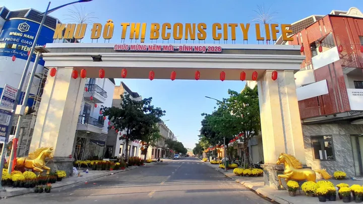 Bất động sản tại Bình Dương - ảnh 1