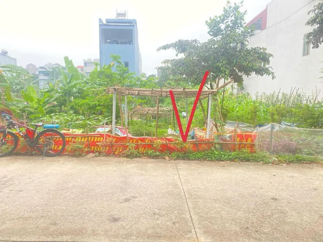 Bất động sản tại Phú Thọ - ảnh 1