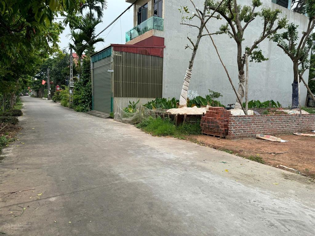 Bất động sản tại Bắc Giang - ảnh 1
