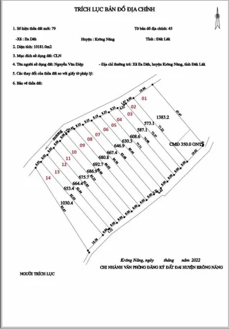 Bất động sản tại Đắk Lắk - ảnh 1
