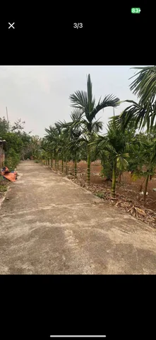 Bất động sản tại Đắk Lắk - ảnh 1