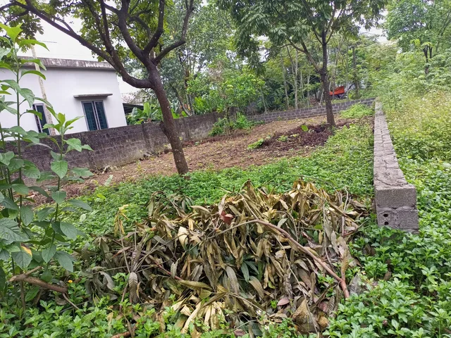 Bất động sản tại Phú Thọ - ảnh 1