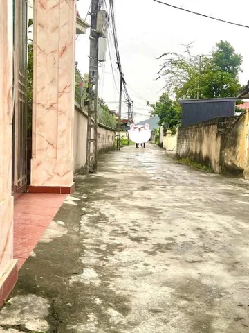 Bất động sản tại Hải Phòng - ảnh 1