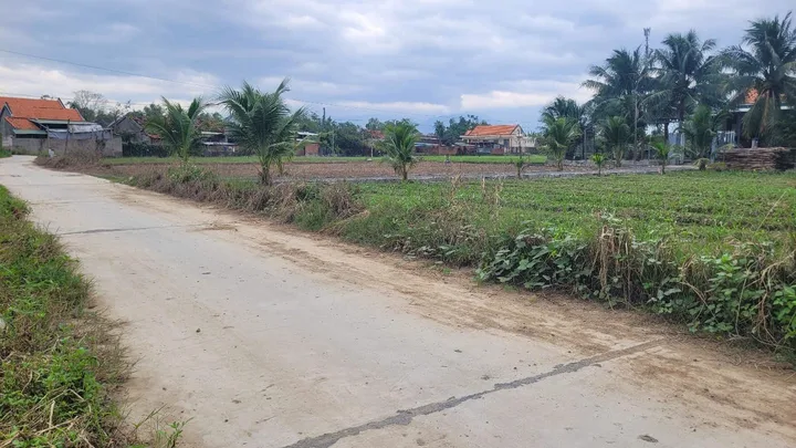Bất động sản tại Khánh Hòa - ảnh 1