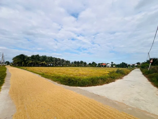 Bất động sản tại Khánh Hòa - ảnh 1