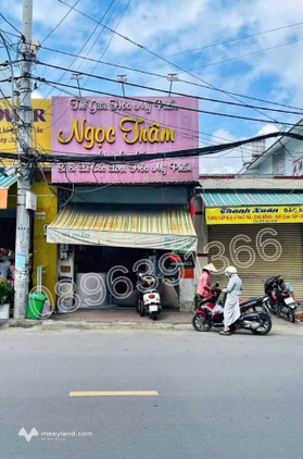 Bất động sản tại Long An - ảnh 1