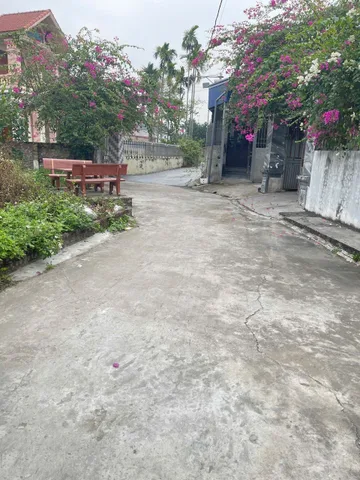 Bất động sản tại Hải Phòng - ảnh 1