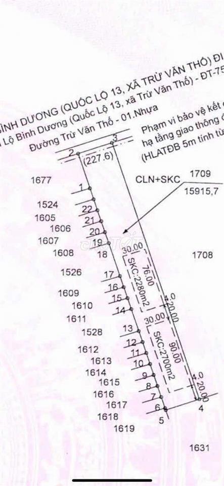Bất động sản tại Bình Dương - ảnh 1