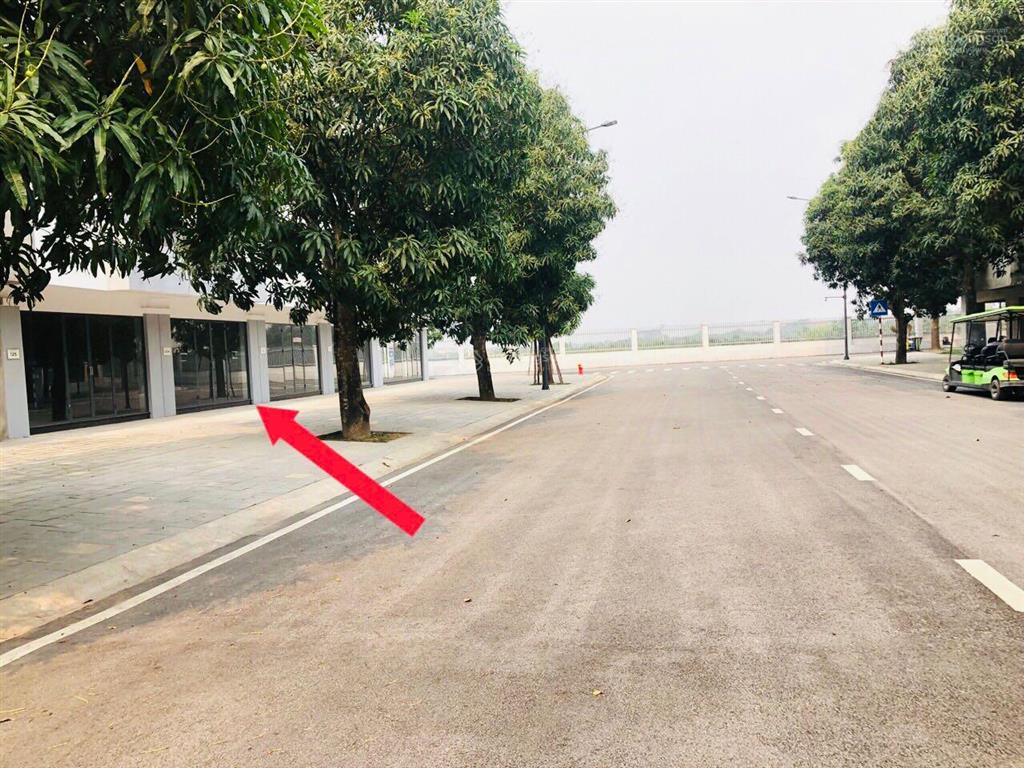 Bất động sản tại Hưng Yên - ảnh 1