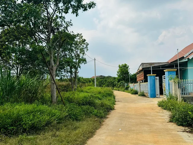 Bất động sản tại Lâm Đồng - ảnh 1