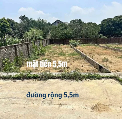 Bất động sản tại Phú Thọ - ảnh 1