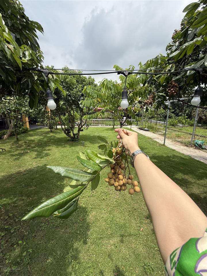 Bất động sản tại Hải Phòng - ảnh 1