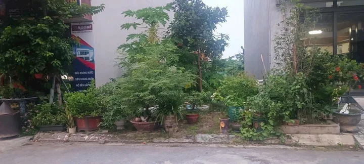 Bất động sản tại Hải Phòng - ảnh 1