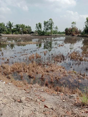 Bất động sản tại Tây Ninh - ảnh 1