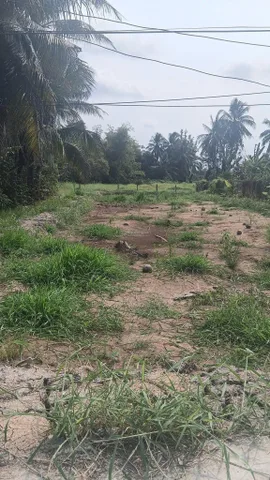 Bất động sản tại Tây Ninh - ảnh 1