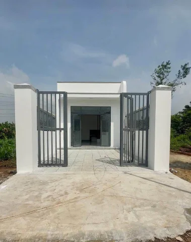 Bất động sản tại Bình Dương - ảnh 1