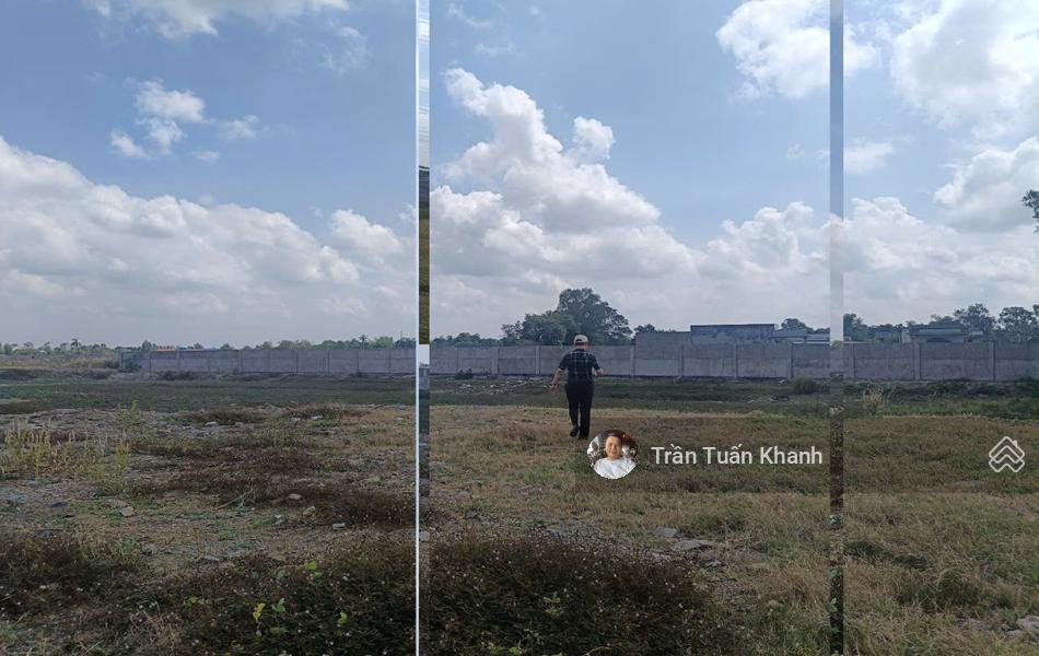 Bất động sản tại Long An - ảnh 1