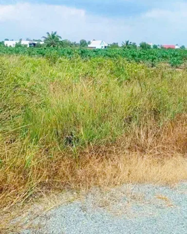 Bất động sản tại Long An - ảnh 1