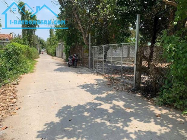 Bất động sản tại Bình Dương - ảnh 1