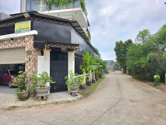 Bất động sản tại Bình Dương - ảnh 1