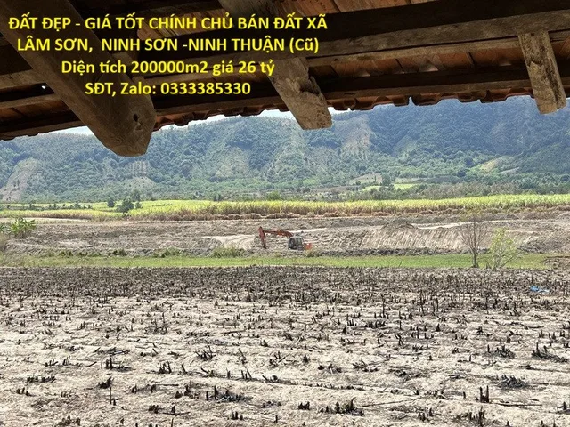 Bất động sản tại Ninh Thuận - ảnh 1