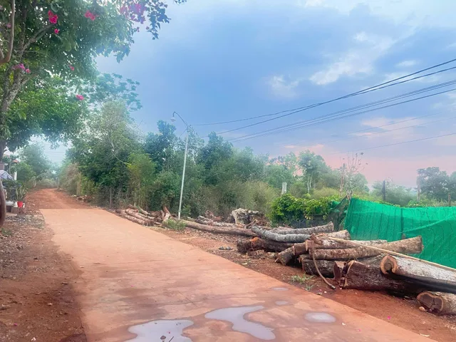 Bất động sản tại Đắk Lắk - ảnh 1