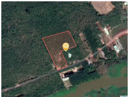 Bất động sản tại Bình Dương - ảnh 1
