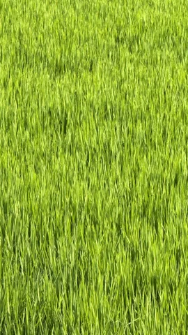 Bất động sản tại Đồng Tháp - ảnh 1