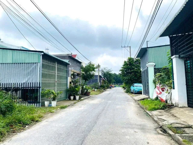 Bất động sản tại Bình Dương - ảnh 1