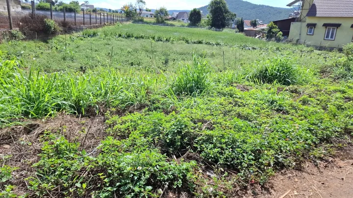 Bất động sản tại Lâm Đồng - ảnh 1