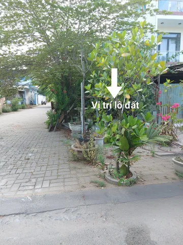 Bất động sản tại Đà Nẵng - ảnh 1