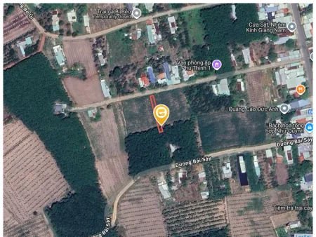 Bất động sản tại Bình Dương - ảnh 1