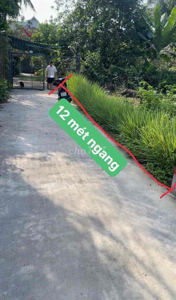 Bất động sản tại Bình Dương - ảnh 1