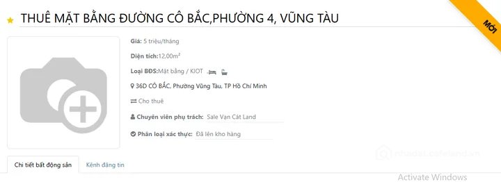 Bất động sản tại TP. Hồ Chí Minh - ảnh 1