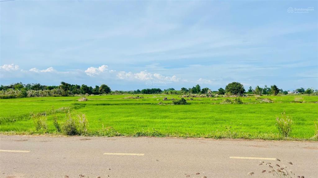 Bất động sản tại Bà Rịa - Vũng Tàu - ảnh 1